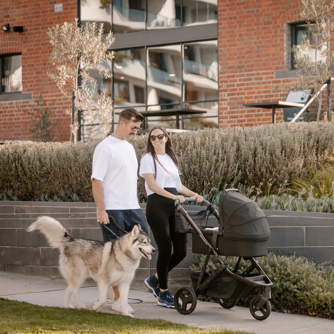 Carry Cot 2 - Image 8